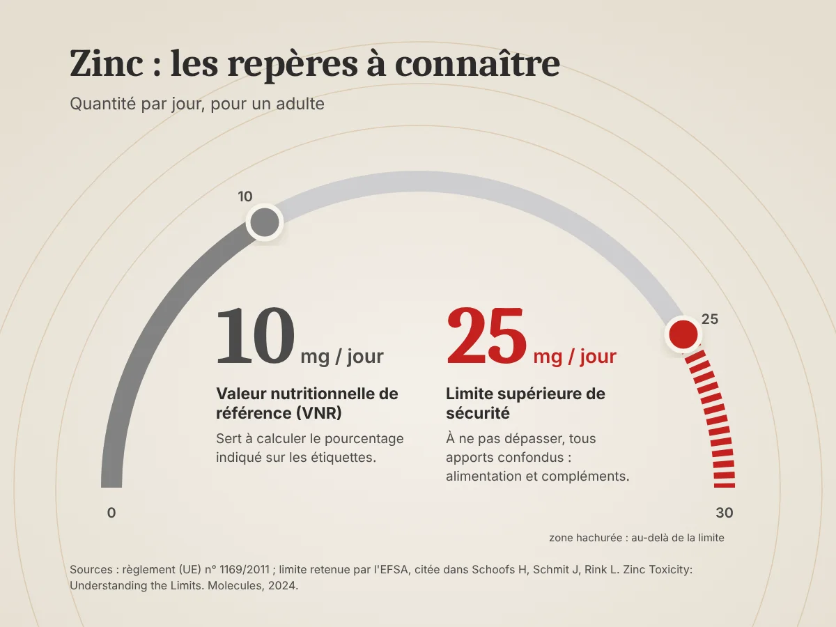 Jauge du zinc de 0 à 30 mg par jour : valeur nutritionnelle de référence à 10 mg, limite supérieure de sécurité à 25 mg